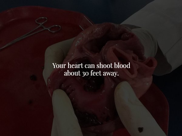 mouth - Your heart can shoot blood about 30 feet away.