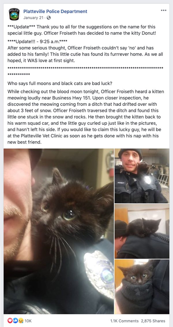 photo caption - Polics Platteville Police Department January 21. Update Thank you to all for the suggestions on the name for this special little guy. Officer Froiseth has decided to name the kitty Donut! Update!!! a.m. After some serious thought, Officer 