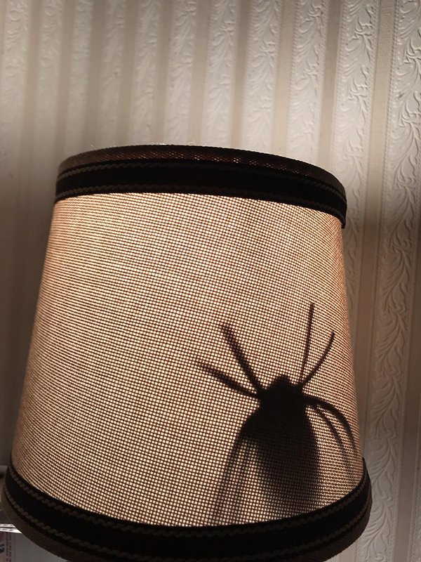 Spider inside a lampshade
