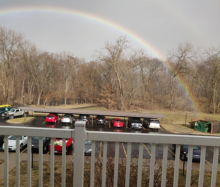 A dumpster was at the end of this rainbow.