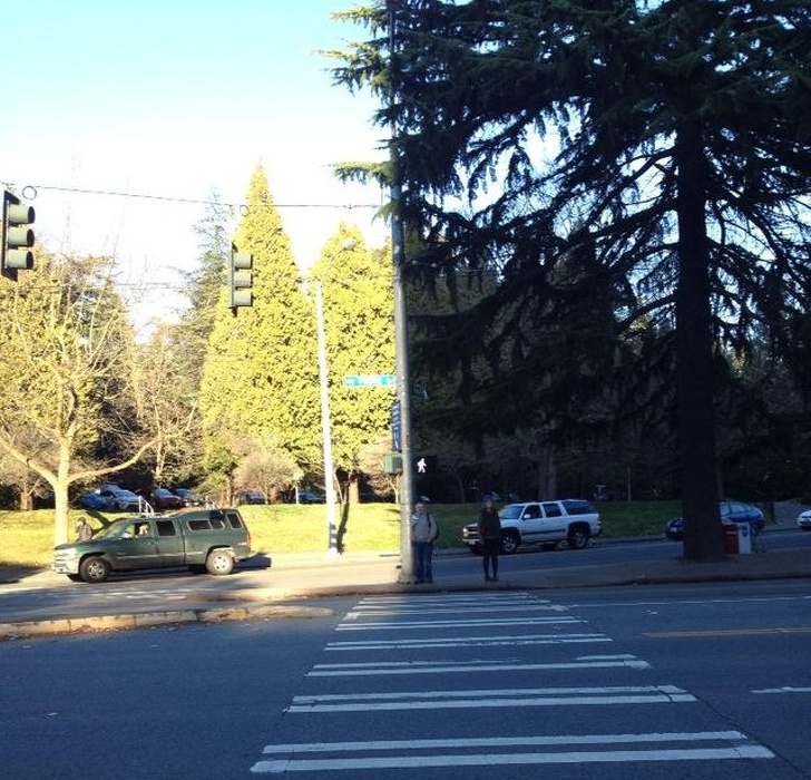 Shadow that lines up with the light pole.