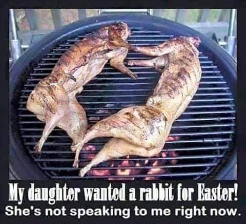 easter meme funny - My daughter wanted a rabbit for Easter! She's not speaking to me right now.