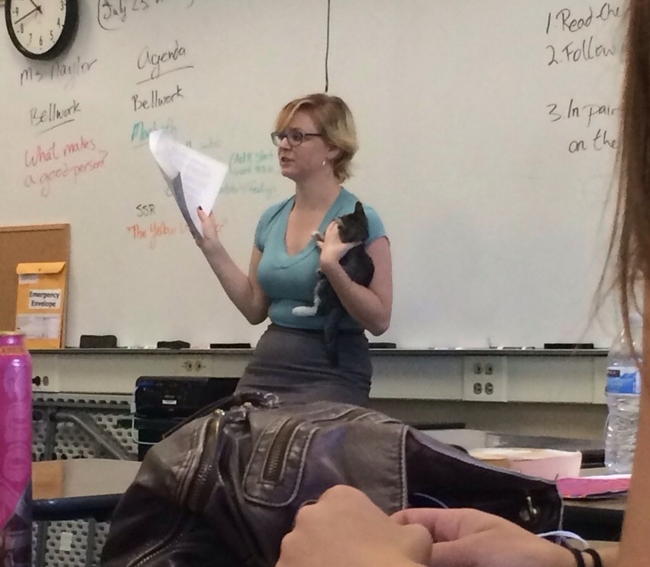 This teacher taught this class while caring for abandoned kittens.