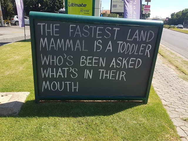 fastest land mammal is a toddler - ltinate Active b9903 Ick Ue The Fastest Land Mammal Is A Toddler Who'S Been Asked 'What'S In Their Mouth