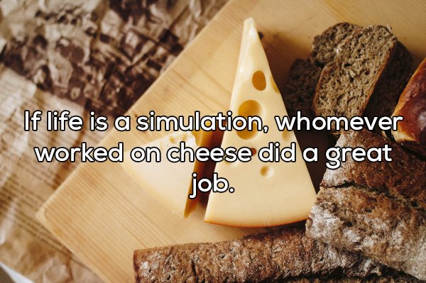 shower thought If life is a simulation, whomever worked on cheese did a great job.
