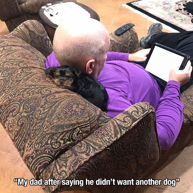 31 Wholesome pics to warm your heart.