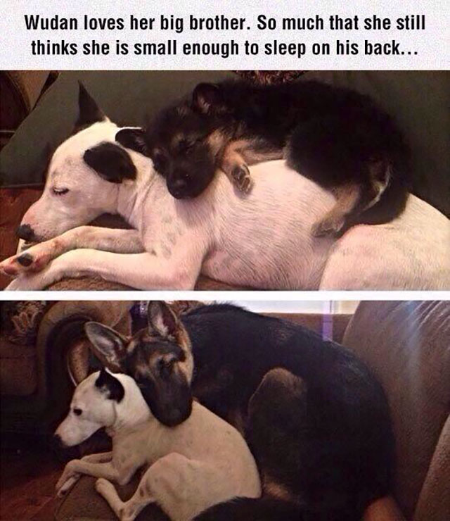 31 Wholesome pics to warm your heart.