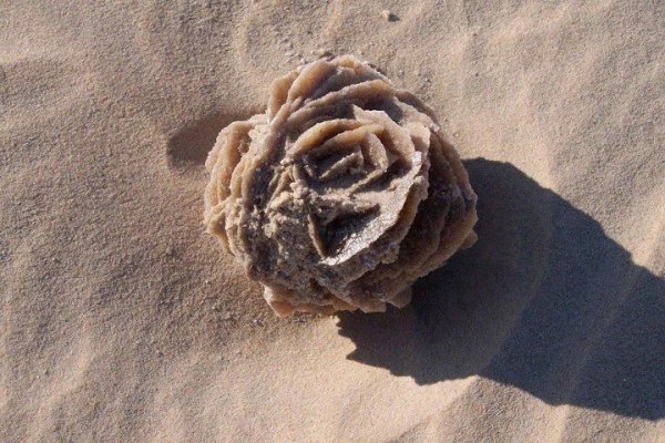 Rose formed from sand.