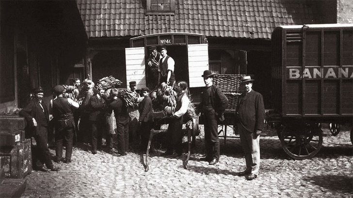 The first bananas in Norway, 1905.