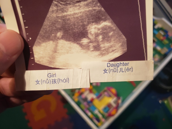 Fortune cookies predict the gender of their unborn baby.