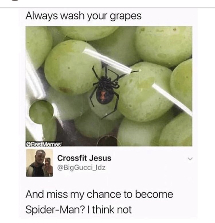 grape memes - Always wash your grapes Memes Crossfit Jesus And miss my chance to become SpiderMan? I think not