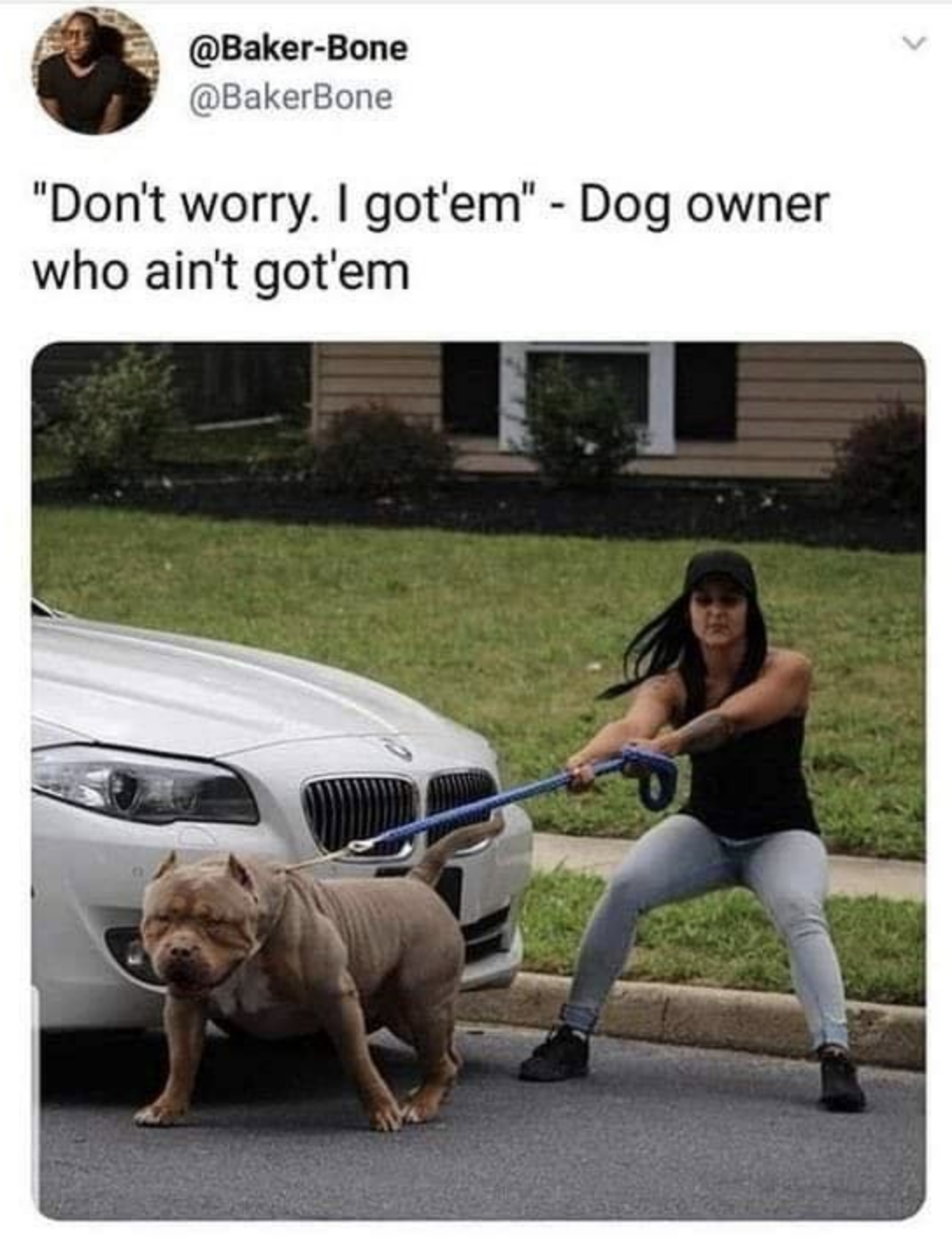 dog owner meme - "Don't worry. I got'em" Dog owner who ain't got'em