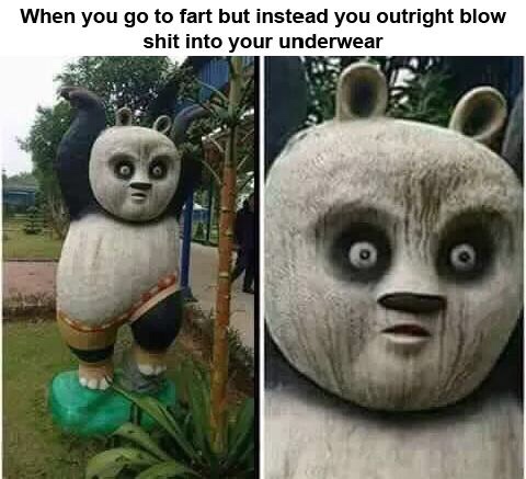 crack fu panda - When you go to fart but instead you outright blow shit into your underwear