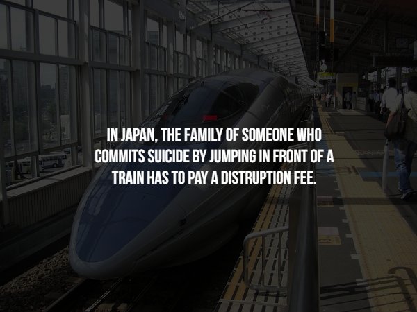 high speed rail - In Japan, The Family Of Someone Who Commits Suicide By Jumping In Front Of A Train Has To Pay A Distruption Fee.