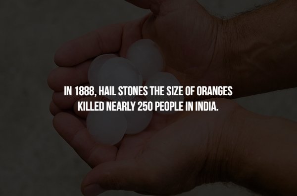 people make it through life - In 1888, Hail Stones The Size Of Oranges Killed Nearly 250 People In India.