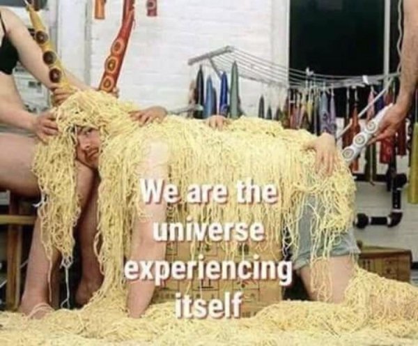 most weird pictures ever - We are the universe experiencing itself