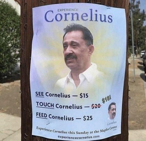 experience cornelius - Cornelius See Cornelius $15 Touch Cornelius $20 Feed Cornelius $25 $181 Conclus Experience Cornelius this ay at the Maples Ceater experiencecornelius.com