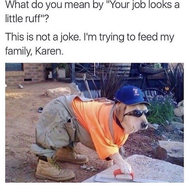 karen dog meme - What do you mean by "Your job looks a little ruff"? This is not a joke. I'm trying to feed my family, Karen