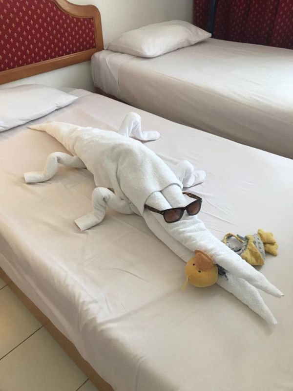 This hotel made this alligator from towels.