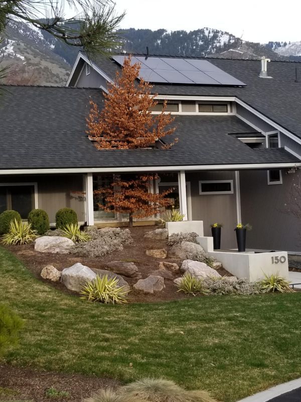 Tree grew right through this house.