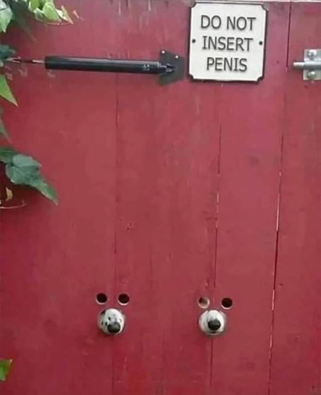 dog friendly gate - Do Not Insert Penis