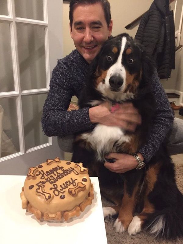 dog birthday cake reaction - My