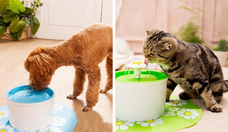 Automatic water fountain for pets.