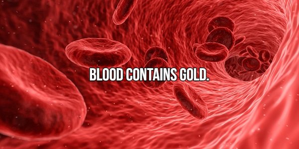 improve blood circulation - Blood Contains Gold.