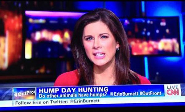 newsreader - OutFror Hump Day Hunting Do other animals have humps? Erin on Twitter Burnett Live Cnn