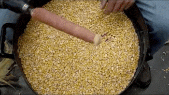 gifs - reverse gif corn peeling