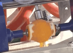 gifs - reverse gif orange being peeled with a machine
