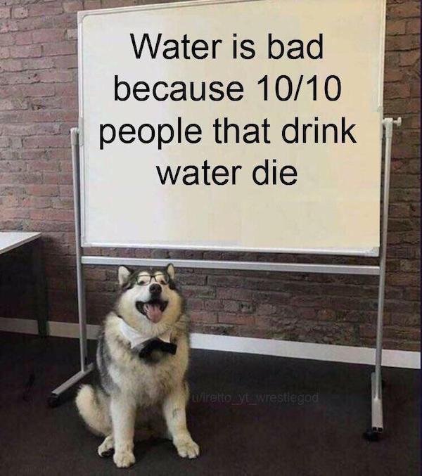 Meme - Water is bad because 1010 people that drink water die Liretto_yt_wrestlegod