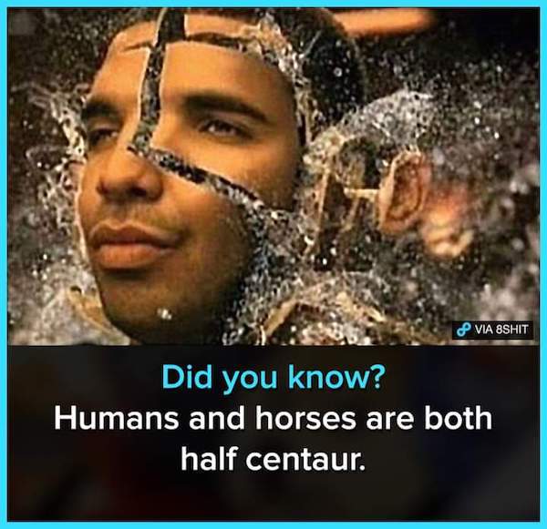 photo caption - Via 8SHIT Did you know? Humans and horses are both half centaur.