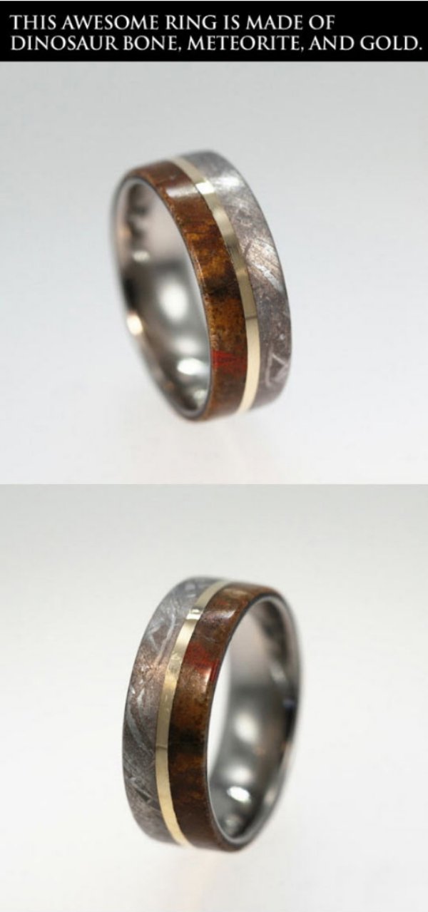 ring - This Awesome Ring Is Made Of Dinosaur Bone. Meteorite, And Gold.