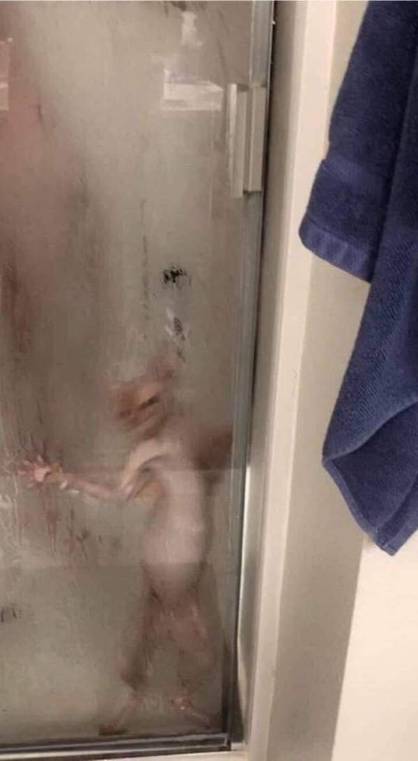 wtf pics - cat in the shower