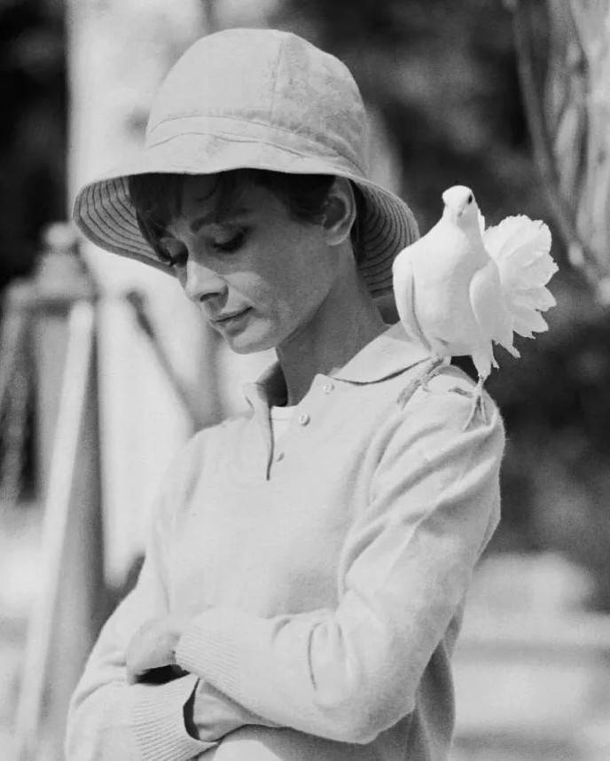 Audrey Hepburn, 1967