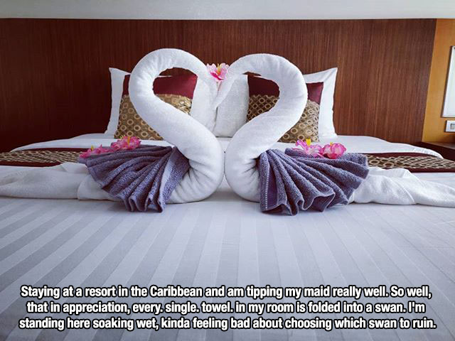 first world problems - bed sheet - Staying at a resort in the Caribbean and am tipping my maid really well. So well, that in appreciation, every single. towel. in my room is folded into a swan. I'm standing here soaking wet, kinda feeling bad about choosi