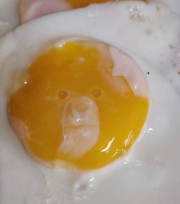 egg yolk