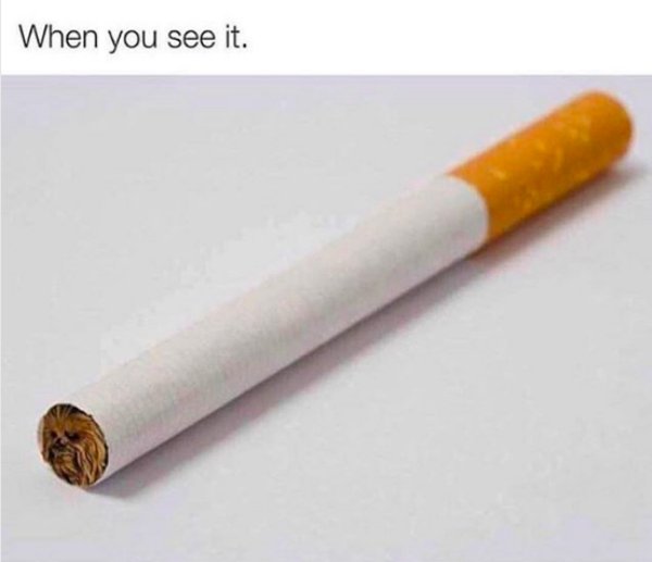 chewbacca in cigarette - When you see it.