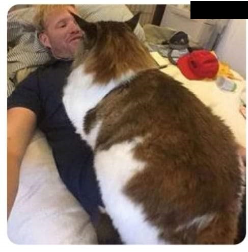 largest cat