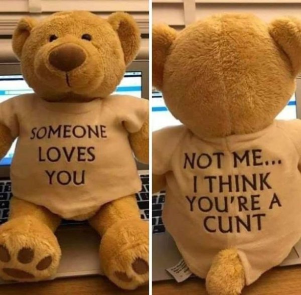 someone loves you not me teddy bear - Someone Loves You Not Me... I Think You'Re A Cunt