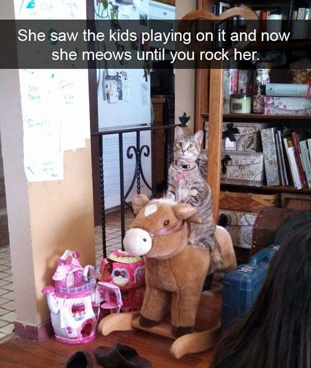cat rocking horse - She saw the kids playing on it and now she meows until you rock her.