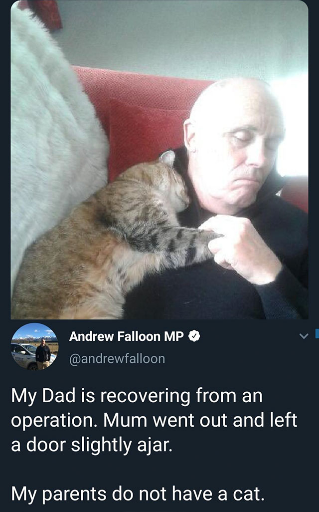 man recovering from a surgery wakes up - Andrew Falloon Mp My Dad is recovering from an operation. Mum went out and left a door slightly ajar. My parents do not have a cat.