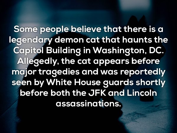 useless facts about darkness - Some people believe that there is a legendary demon cat that haunts the Capitol Building in Washington, Dc. Allegedly, the cat appears before major tragedies and was reportedly seen by White House guards shortly before both 