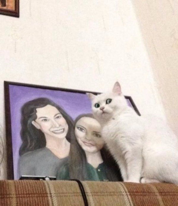 Cat making a funny face in front of a painting