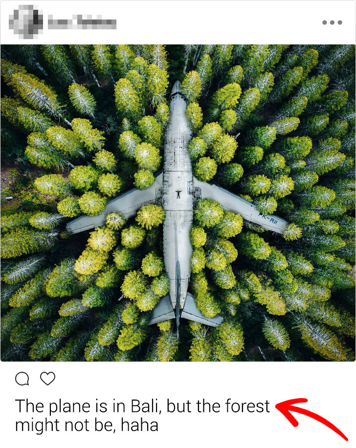 No, this plane isn't hidden in the forest.