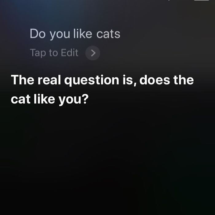 30 Cheeky Answers Given By Siri