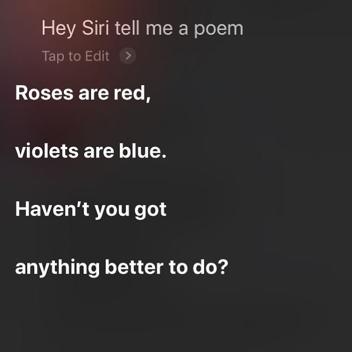 30 Cheeky Answers Given By Siri