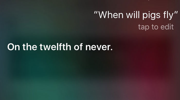 30 Cheeky Answers Given By Siri