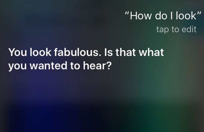 30 Cheeky Answers Given By Siri